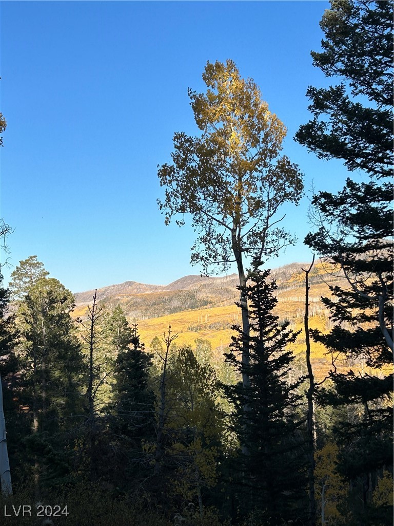 660 West Ski View Drive Property Photo 2