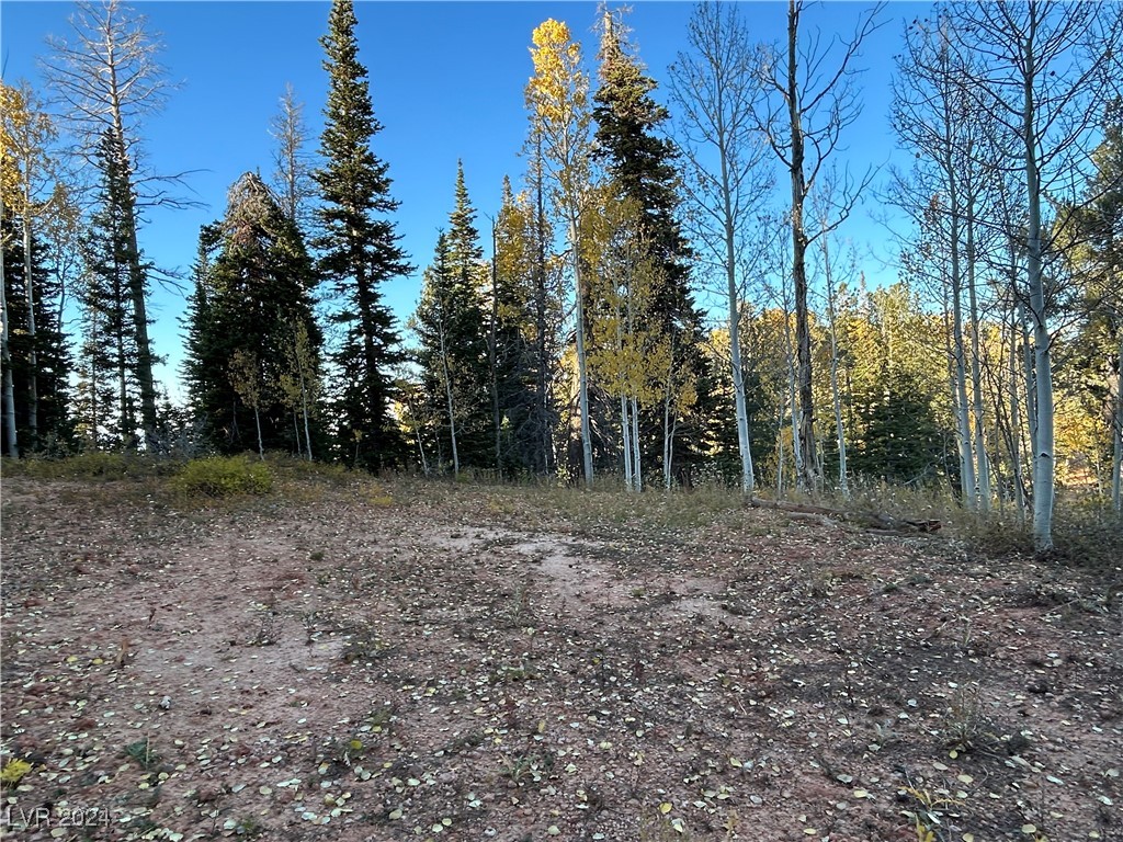 660 West Ski View Drive Property Photo 4