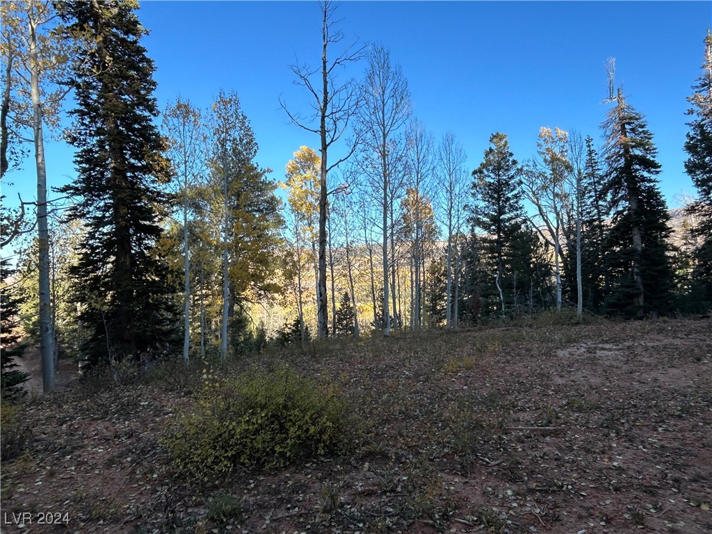 660 West Ski View Drive Property Photo 6