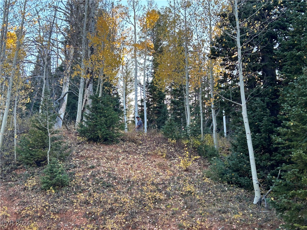 660 West Ski View Drive Property Photo 7