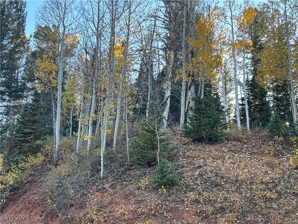 660 West Ski View Drive Property Photo 8