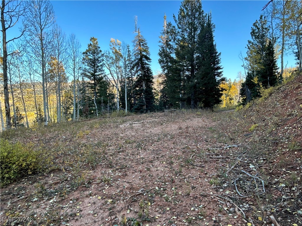 660 West Ski View Drive Property Photo 10