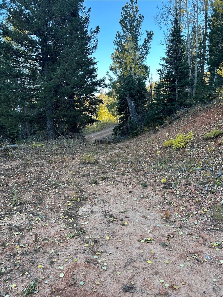 660 West Ski View Drive Property Photo 11