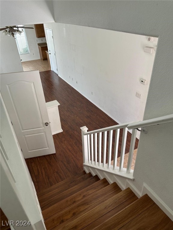 10411 Amber Night Street Property Photo 13