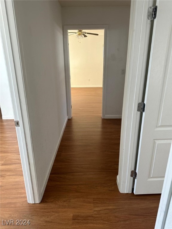 10411 Amber Night Street Property Photo 17