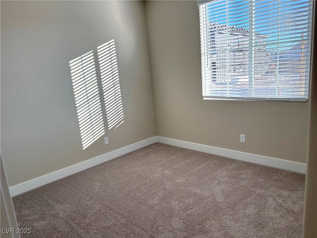 9902 Belikove Manor Avenue Property Photo 4