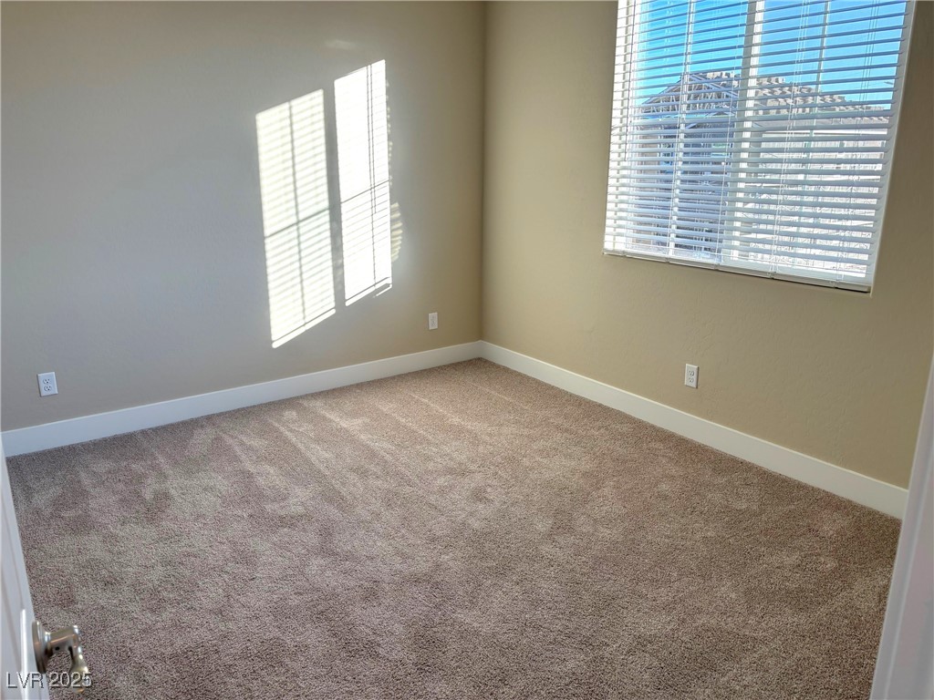9902 Belikove Manor Avenue Property Photo 20