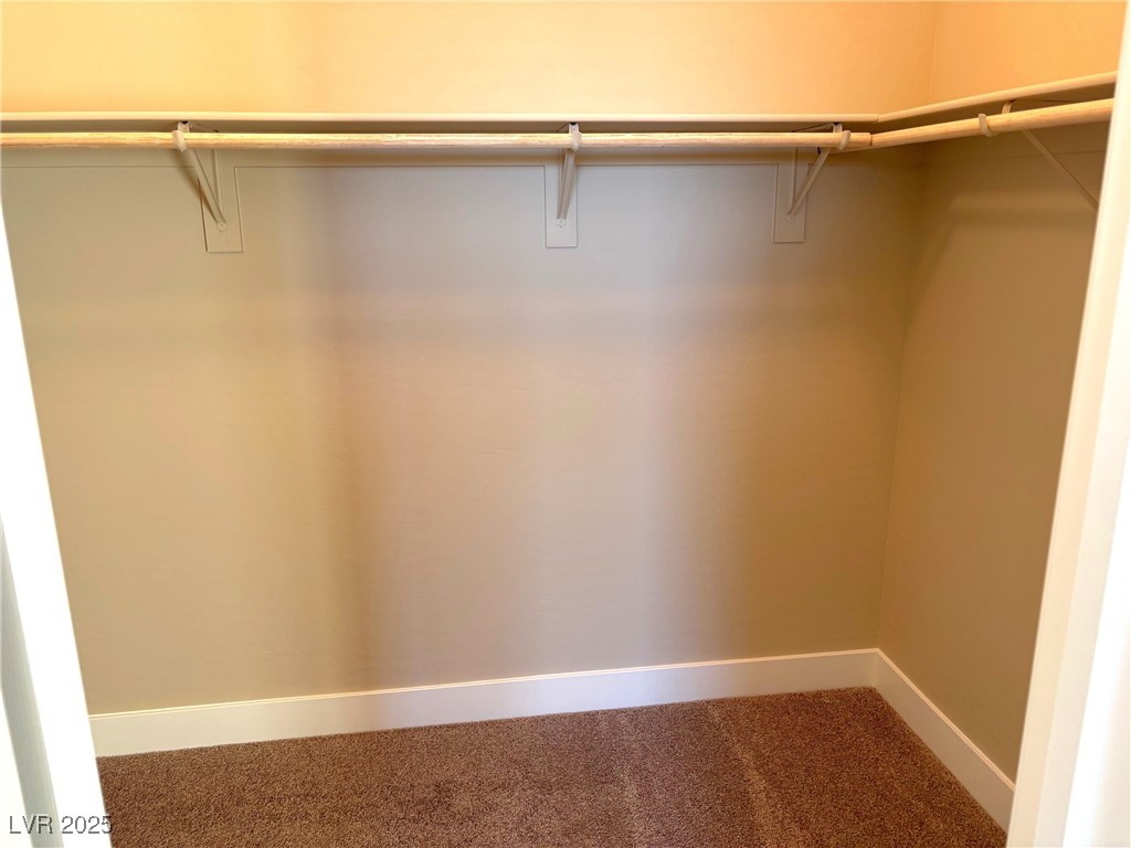 9902 Belikove Manor Avenue Property Photo 21
