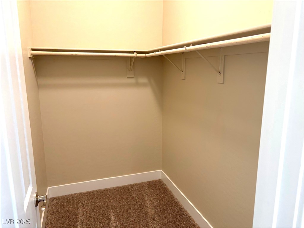 9902 Belikove Manor Avenue Property Photo 24