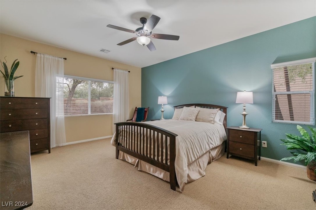 10858 Morning Frost Street Property Photo 22