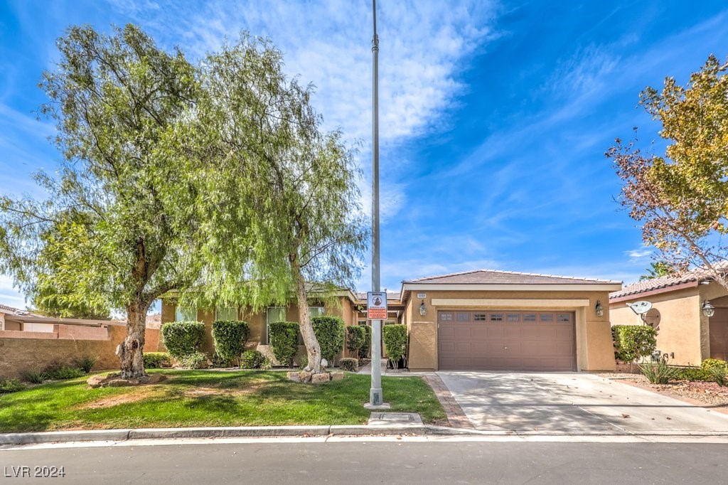 10909 Bramante Drive Property Photo 2