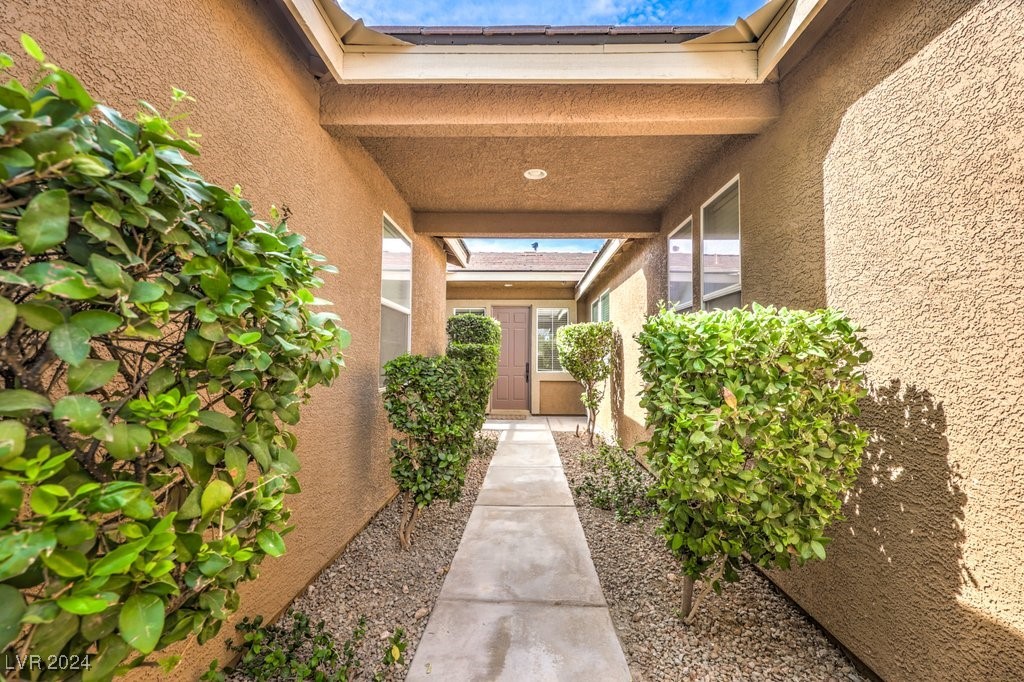 10909 Bramante Drive Property Photo 3