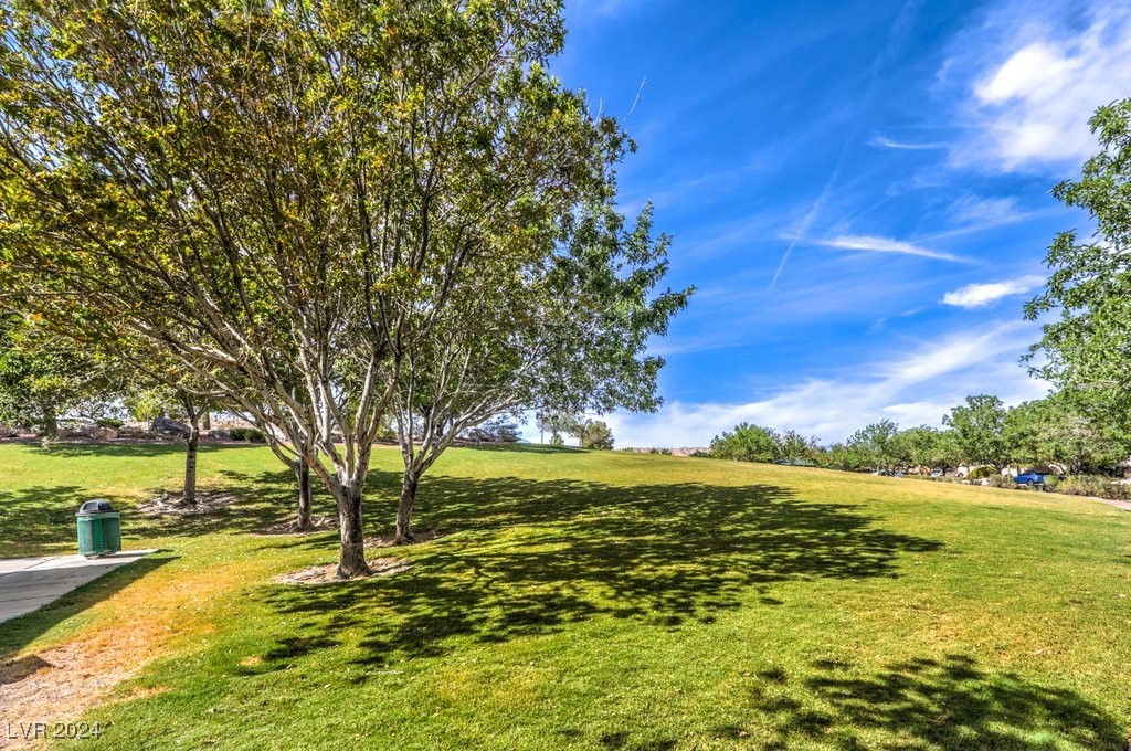 10909 Bramante Drive Property Photo 46