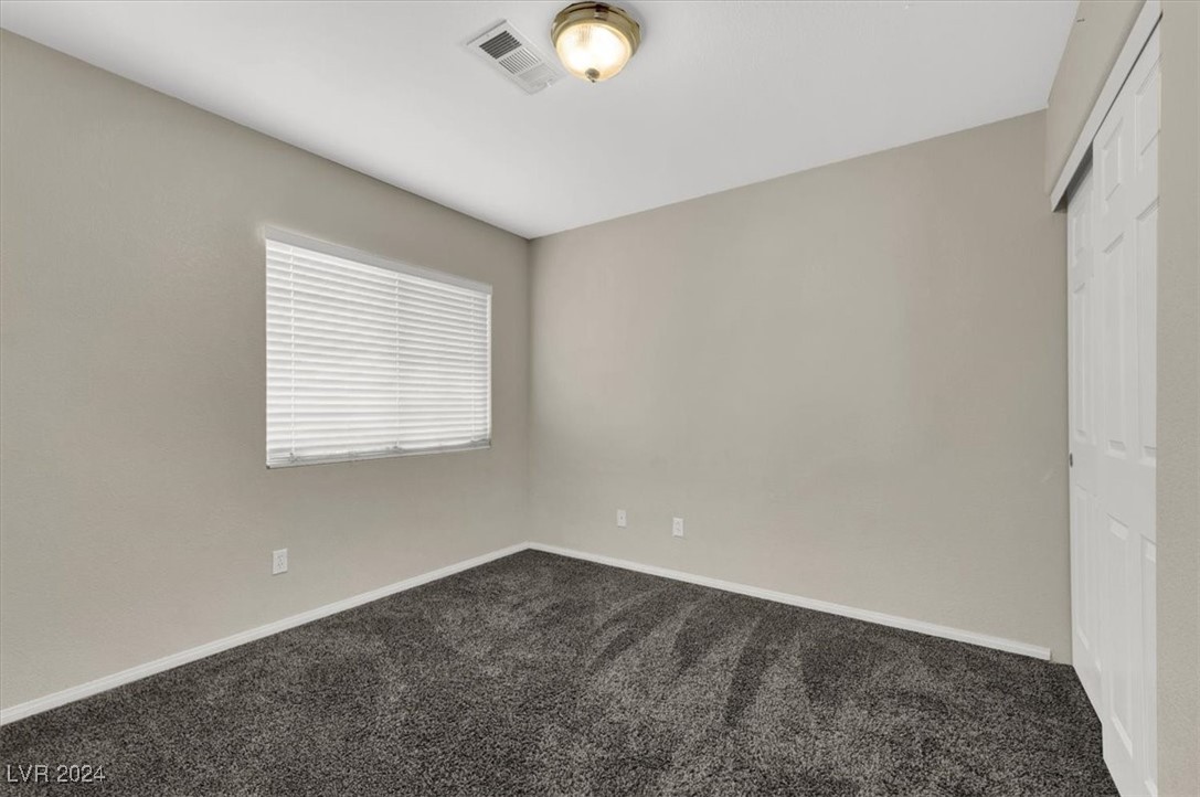 10914 Fintry Hills Street Property Photo 17