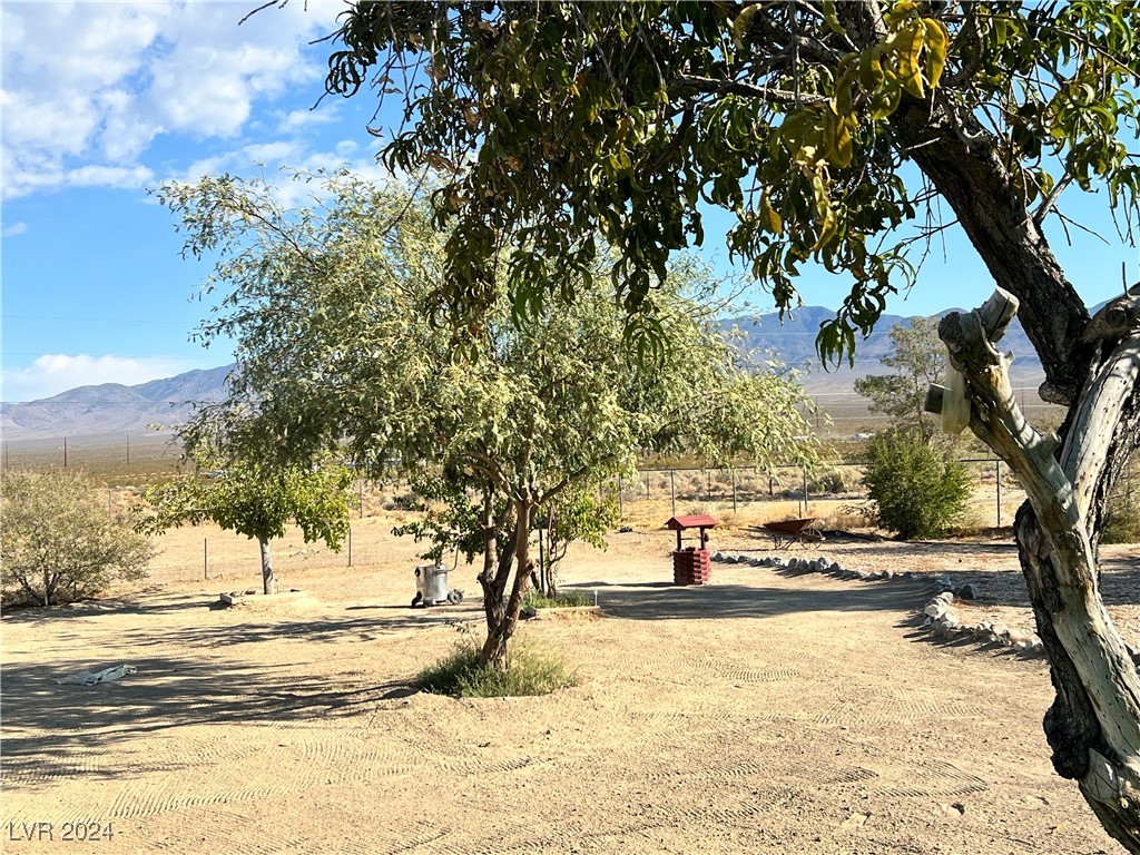 130 Spring Mountain Vista Avenue Property Photo 49