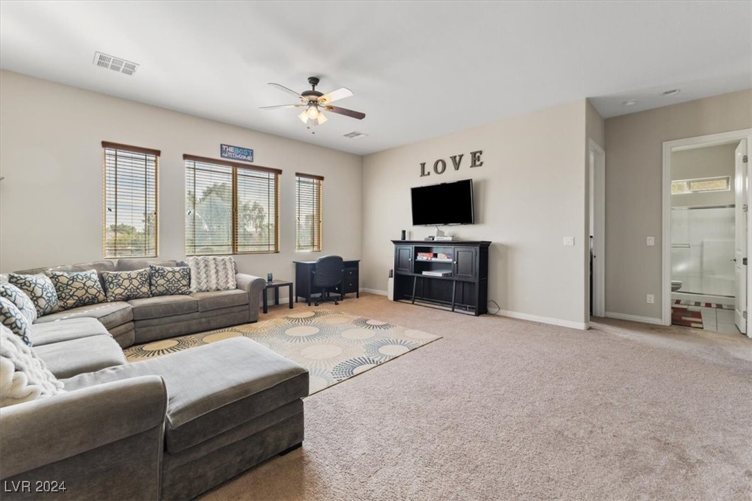 7380 Abundant Harvest Avenue Property Photo 43