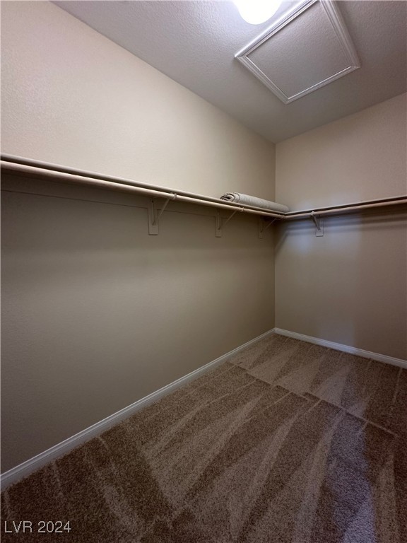 884 Cottonwood Hill Place Property Photo 21