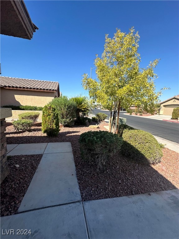 6071 Saddle Horse Avenue Property Photo 8
