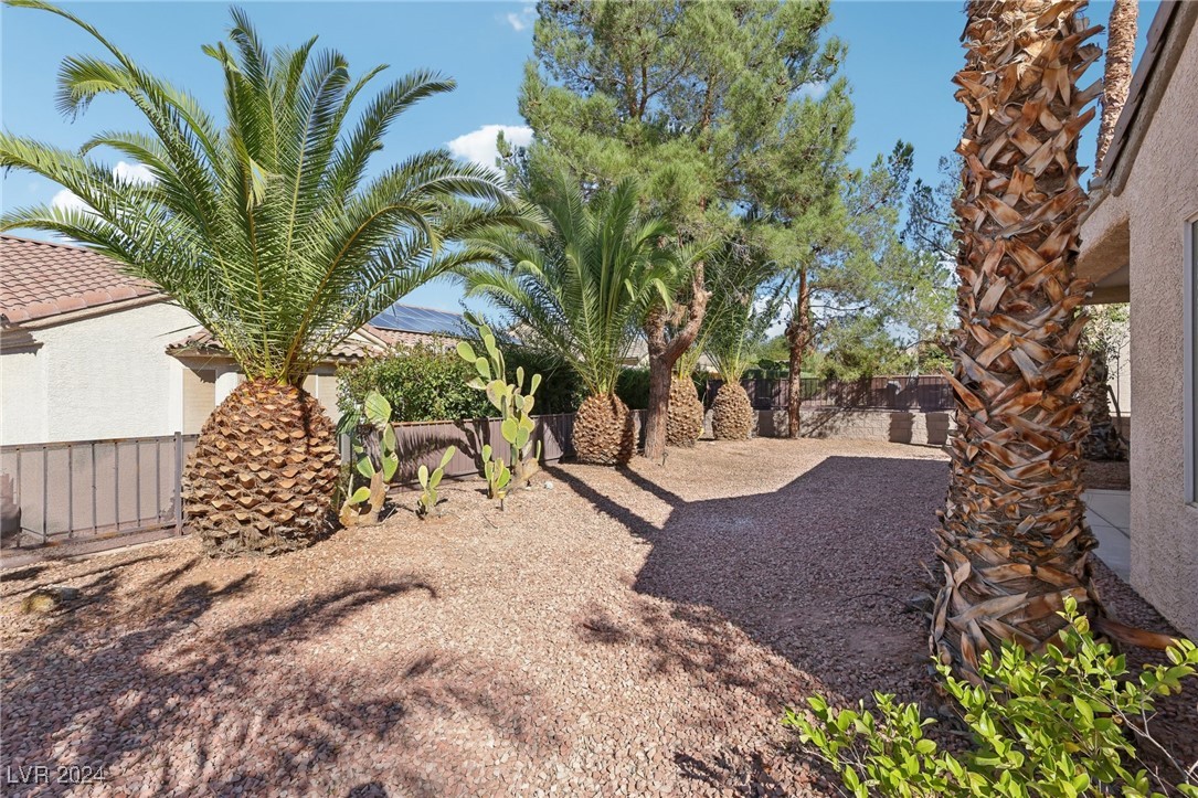 2814 Somerset Springs Drive Property Photo 32