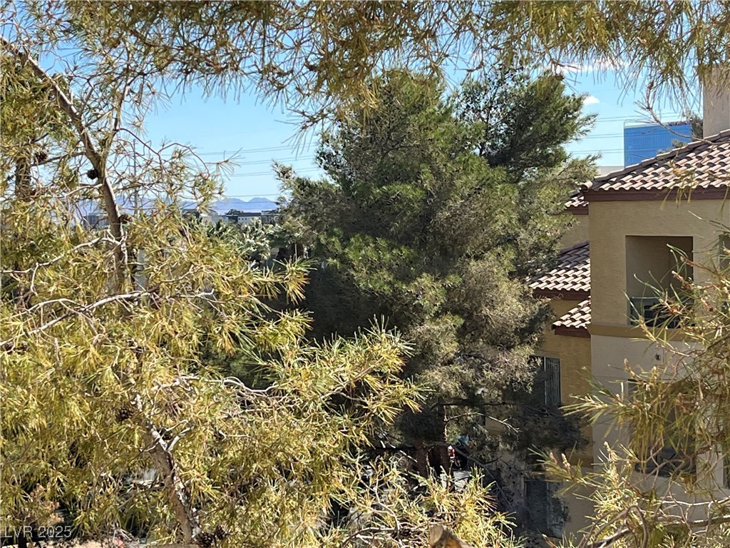 260 East Flamingo Road 433 Property Photo 33