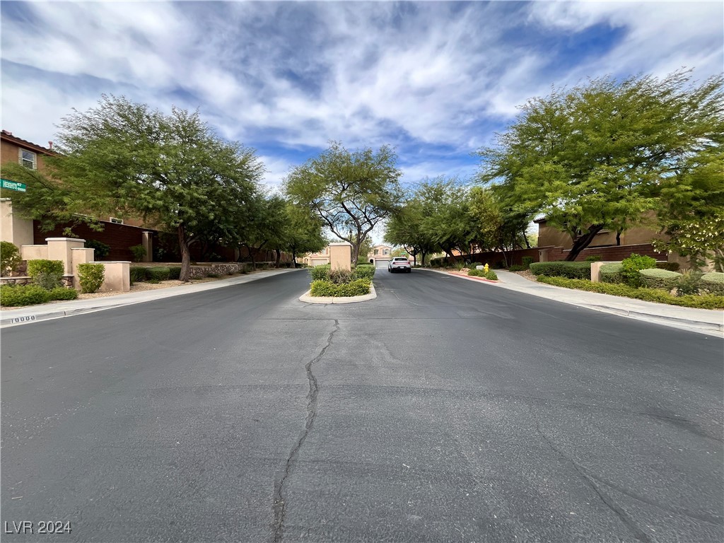 7961 Alta Lima Valley Court Property Photo 3
