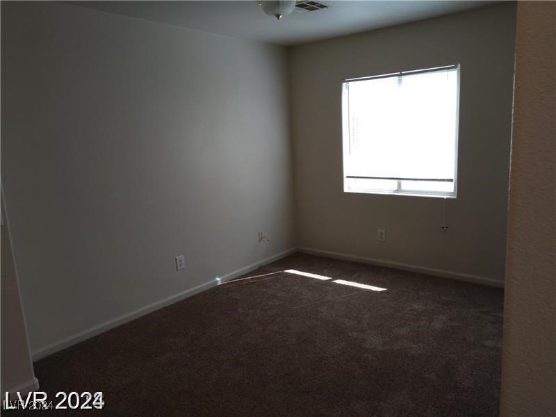 256 Camino Viejo Street Property Photo 14