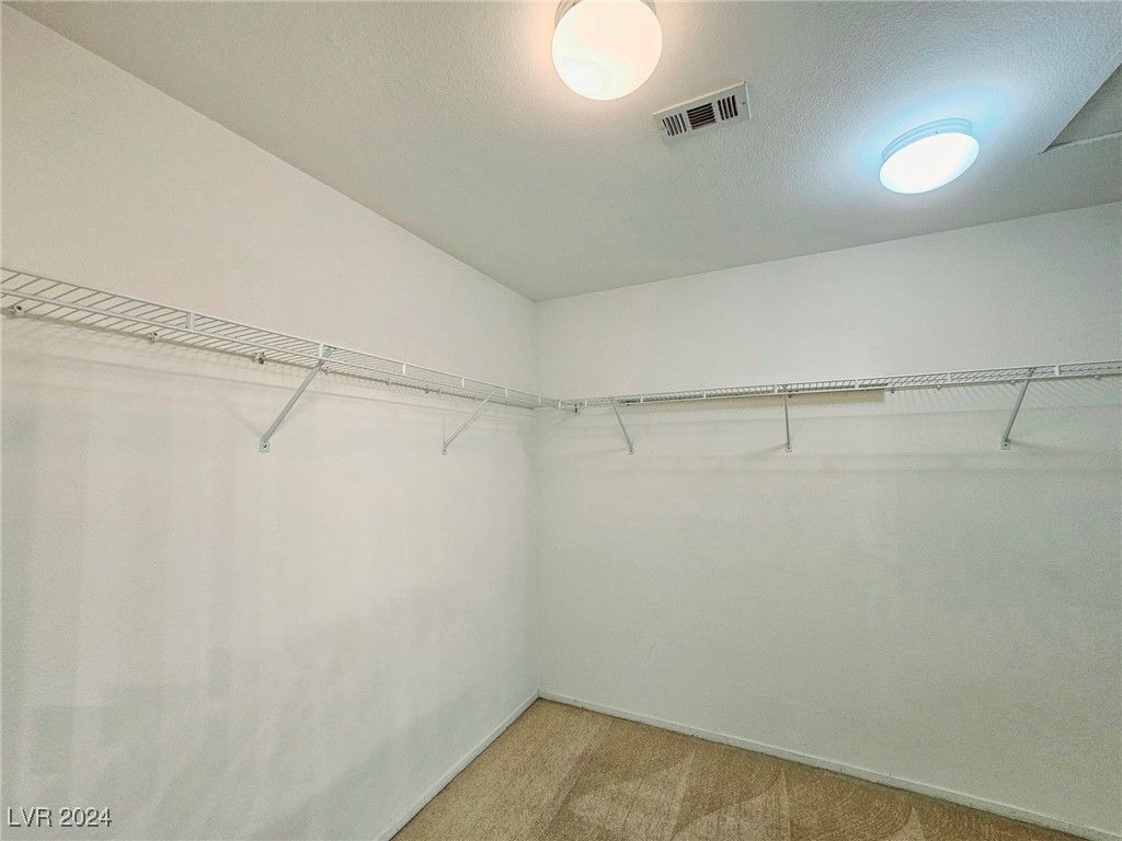 1805 Running Fawn Court Property Photo 14