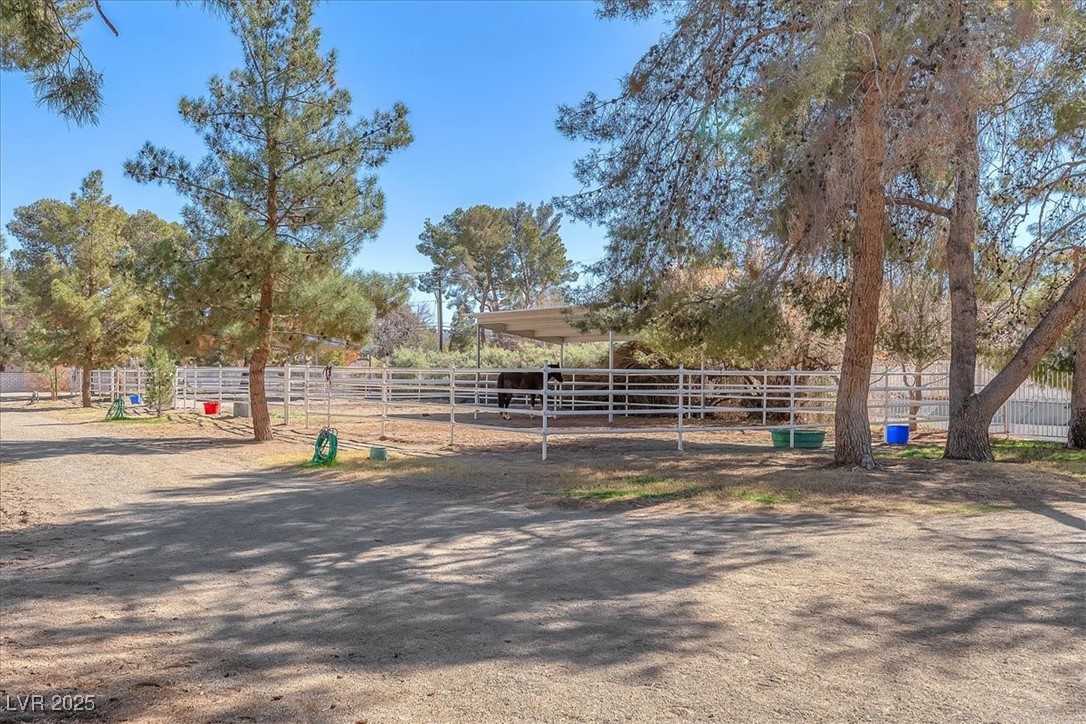 2868 Vista Del Sol Avenue Property Photo 90
