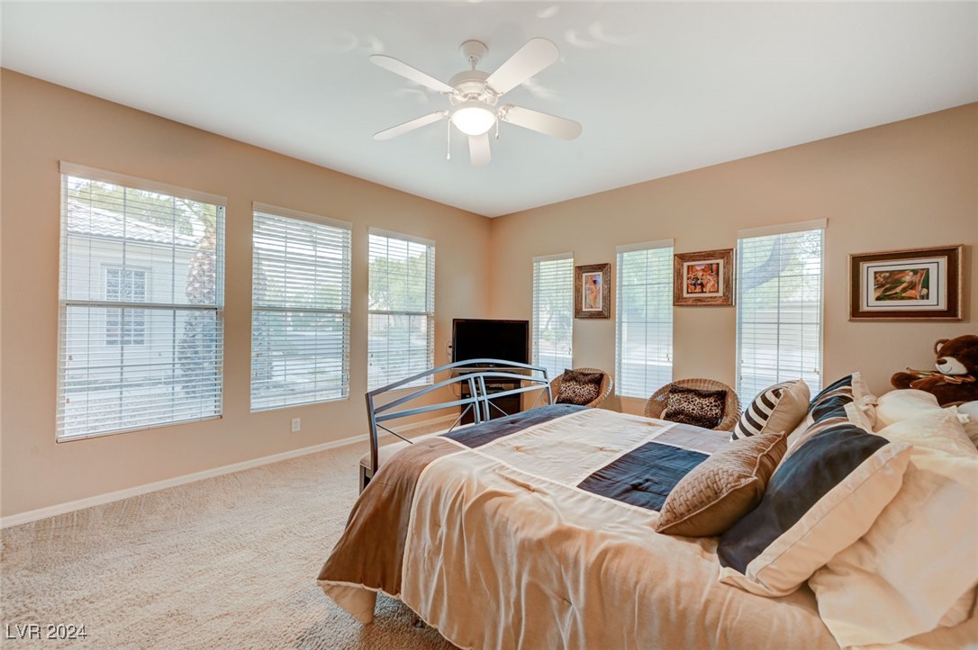 4729 Regalo Bello Street Property Photo 25