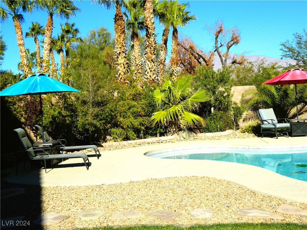 8230 Moapa Water Street Property Photo 22