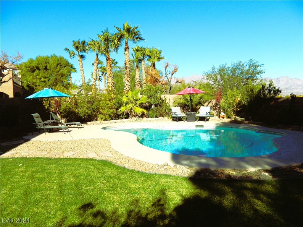 8230 Moapa Water Street Property Photo 24