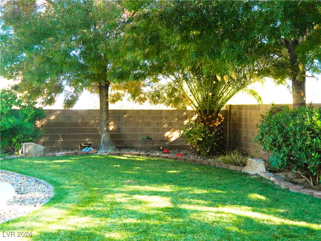 8230 Moapa Water Street Property Photo 26