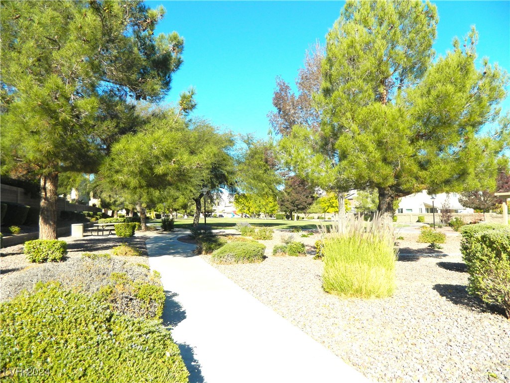 8230 Moapa Water Street Property Photo 28