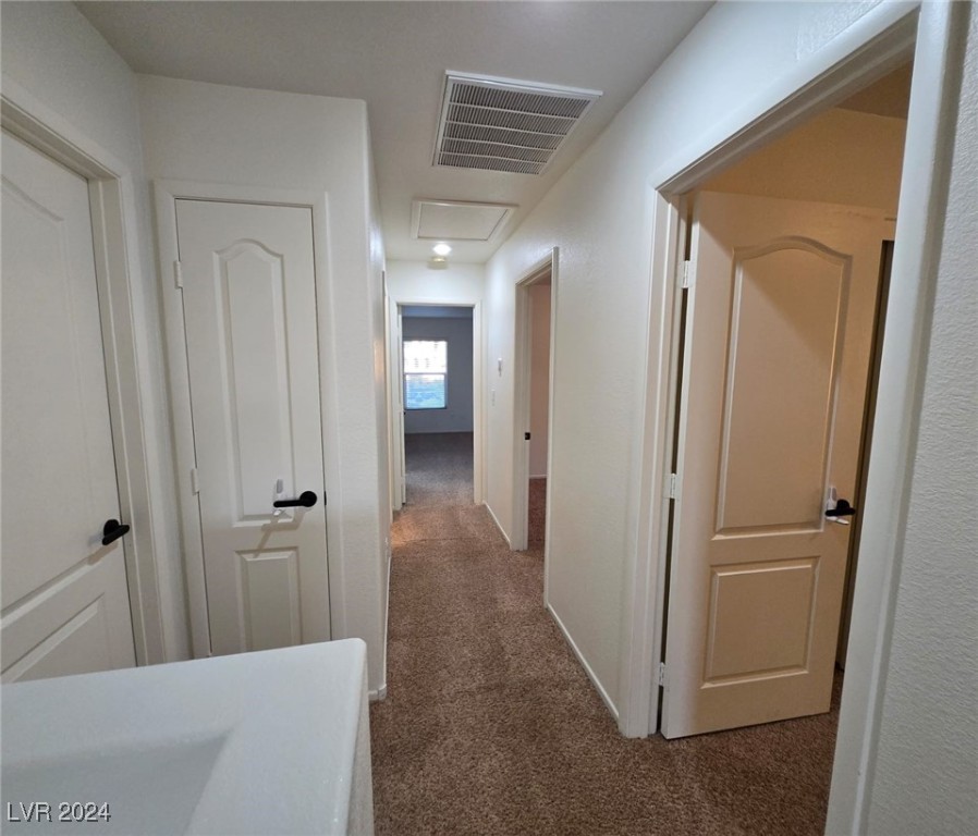 849 Purdy Lodge Street Property Photo 20