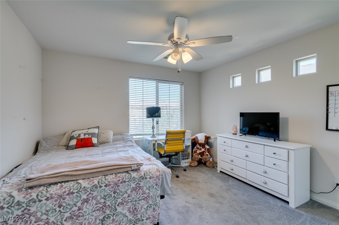 2947 Caxton Grove Drive Property Photo 21