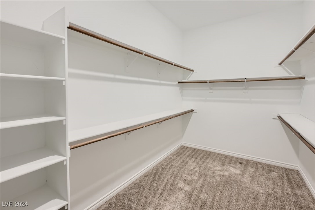 317 Gillespie Glen Avenue Property Photo 19