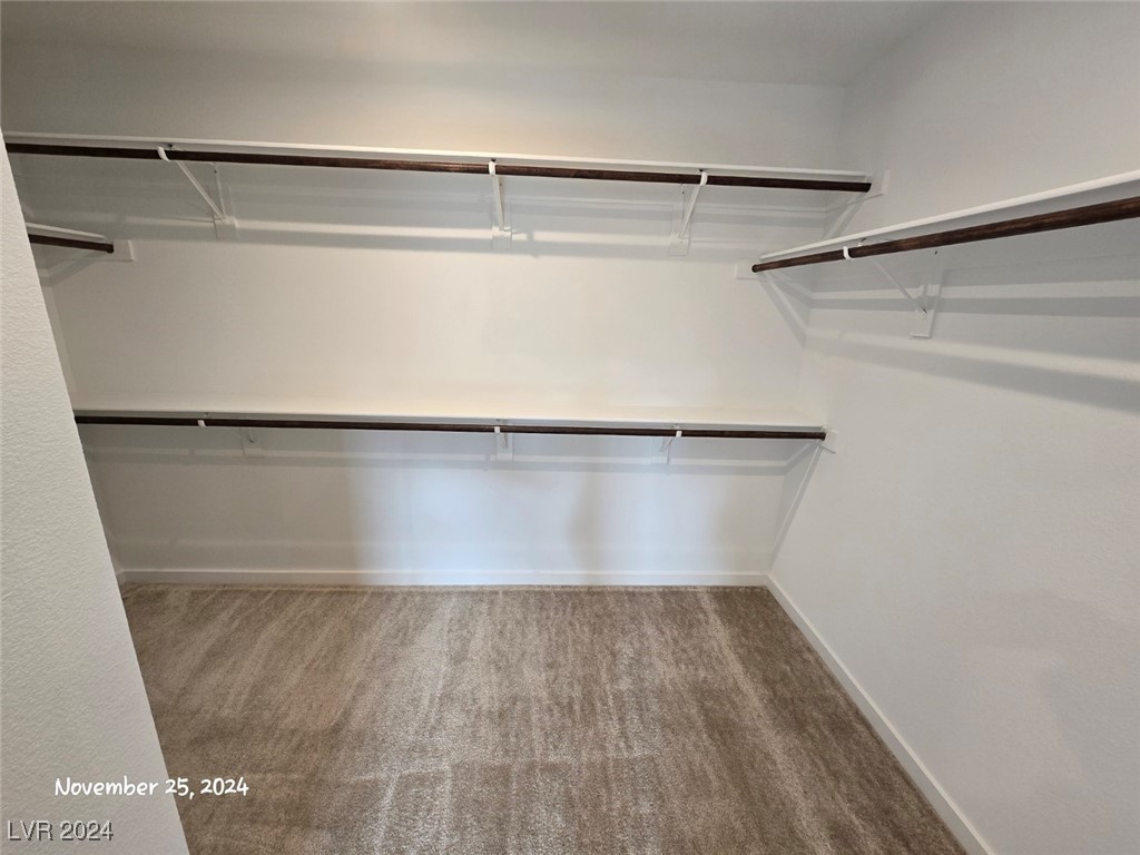 4371 Sunburst Spring Avenue Property Photo 19