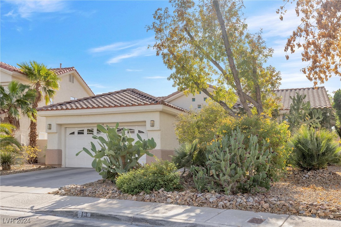 13 Desert Dawn Lane Property Photo 3