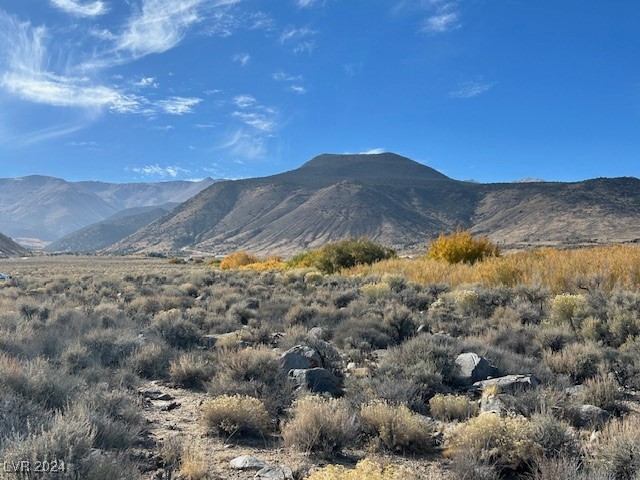 700 Davis Meadow Trail Property Photo 3