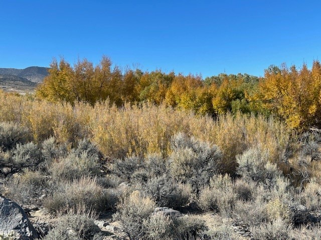 700 Davis Meadow Trail Property Photo 4