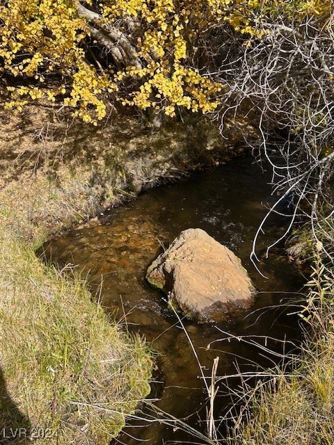 700 Davis Meadow Trail Property Photo 5