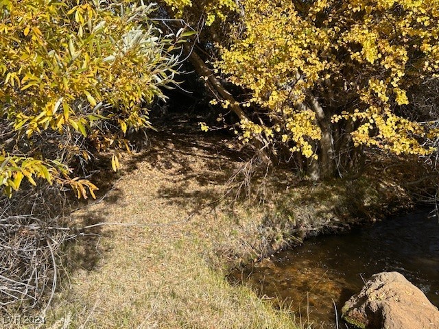700 Davis Meadow Trail Property Photo 6