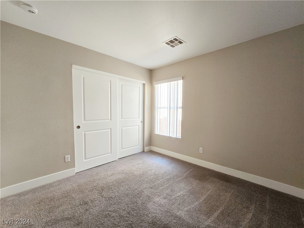 11120 Summer Squash Lane Property Photo 13