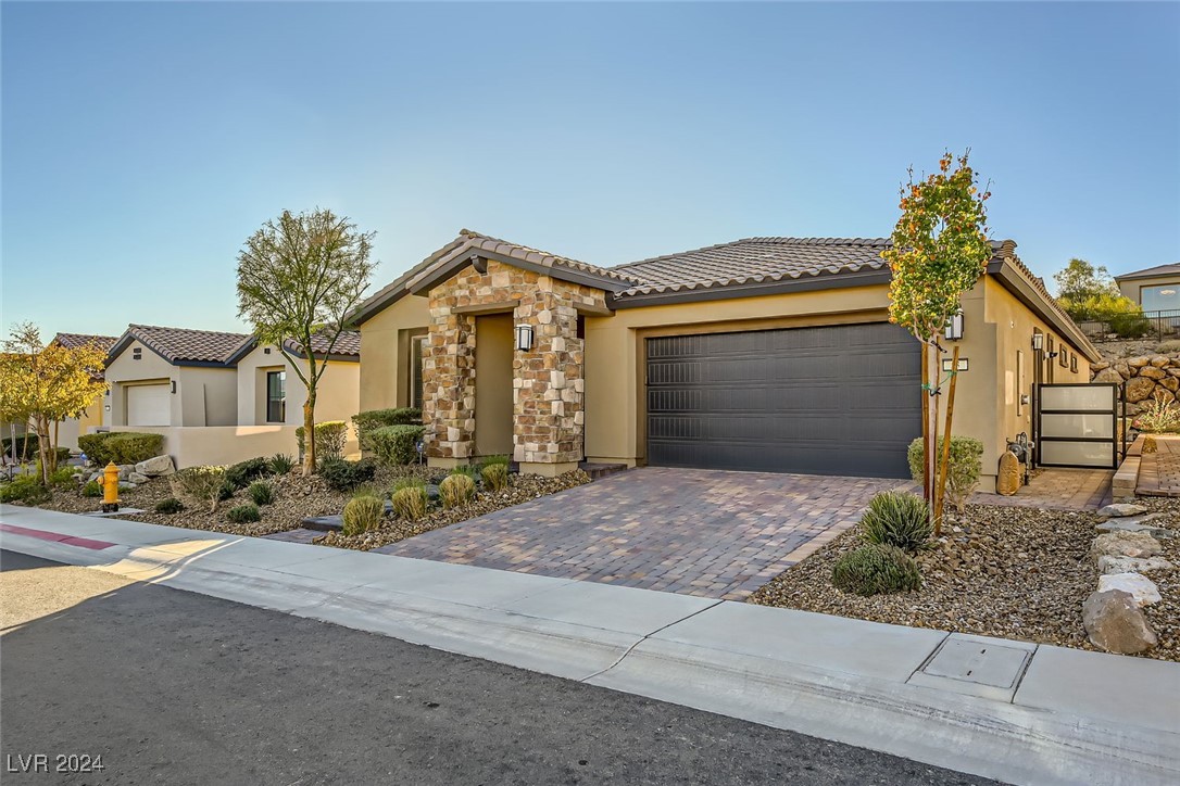 53 Stone Yucca Court Property Photo 2