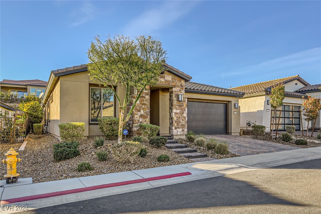 53 Stone Yucca Court Property Photo 3