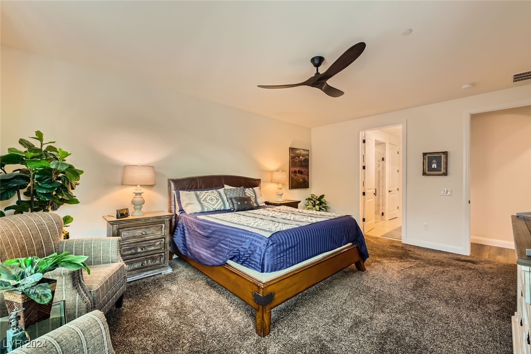 53 Stone Yucca Court Property Photo 29