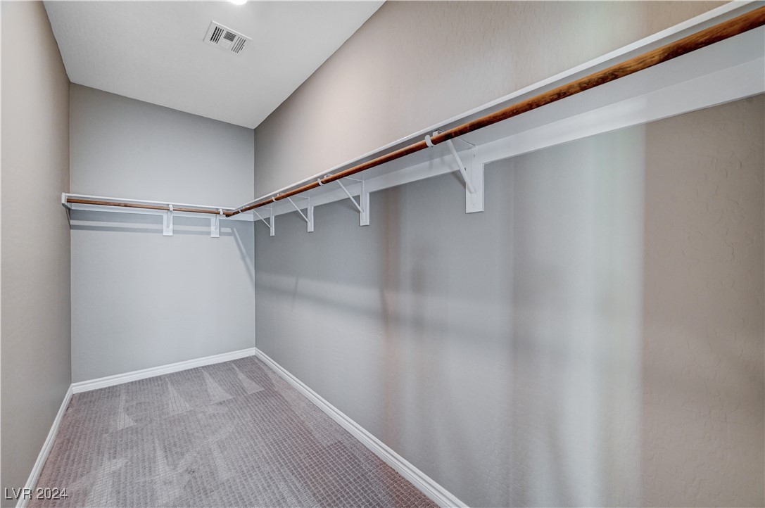 3164 Rowan Brook Avenue Property Photo 45