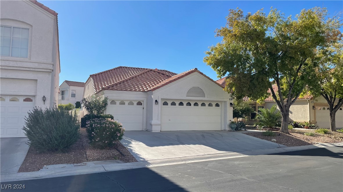 7465 Desert Flame Court Property Photo 2