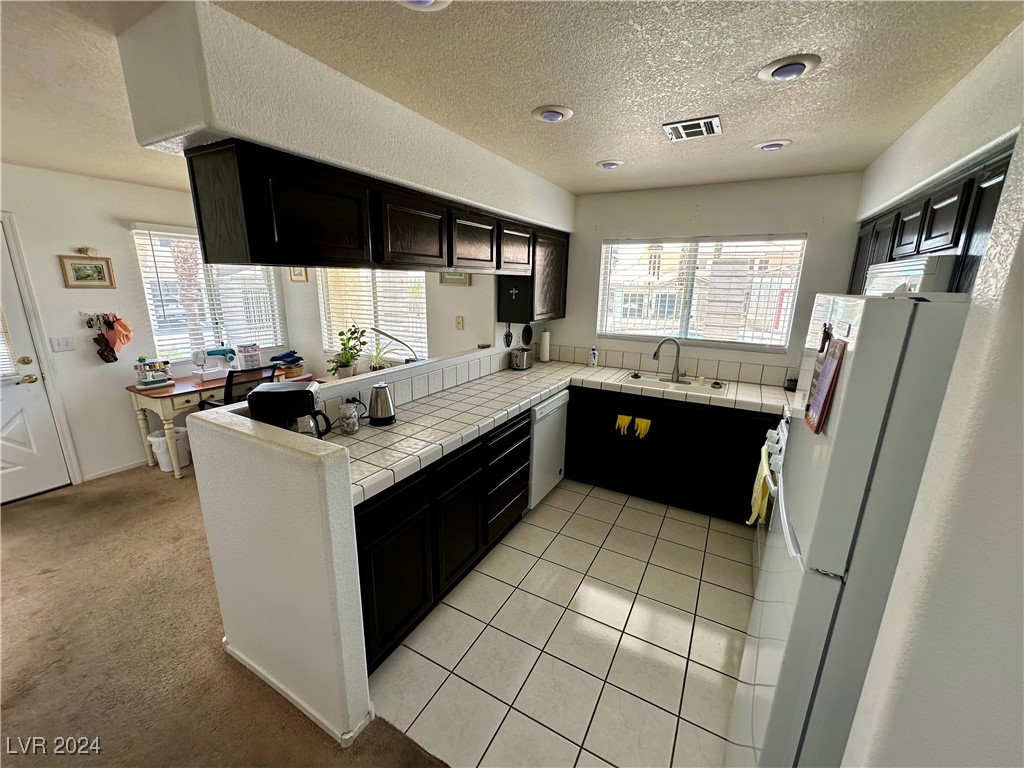 2153 Camel Mesa Drive Property Photo 6