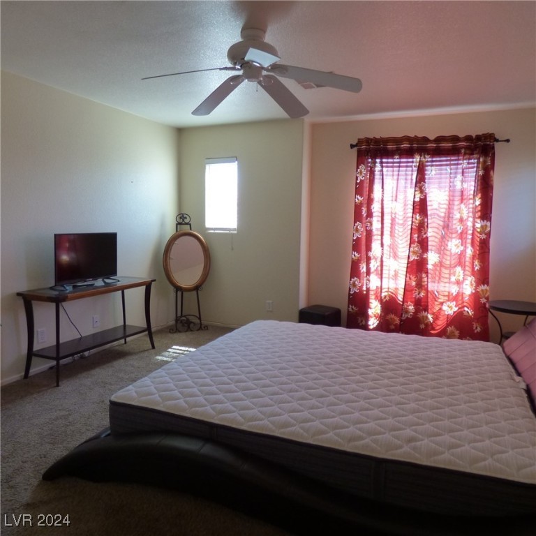 10360 Lettuce Leaf Street Property Photo 11